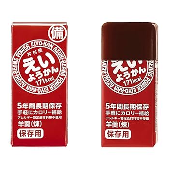 井村屋　えいようかん　5本入り　20箱　合計　100個 井村屋 えいようかん 5本×20箱